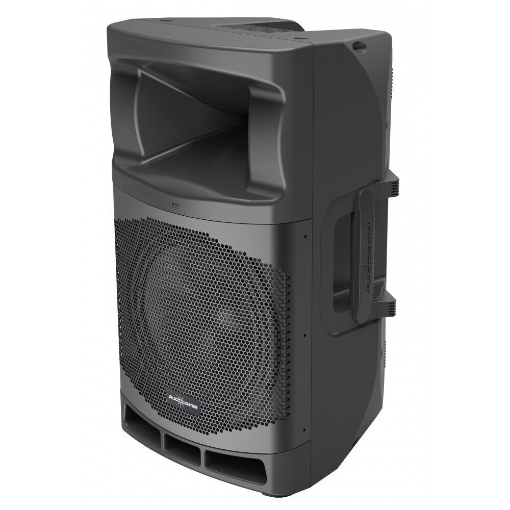 Audiocenter MA12 активная акустическая система в Кизляре