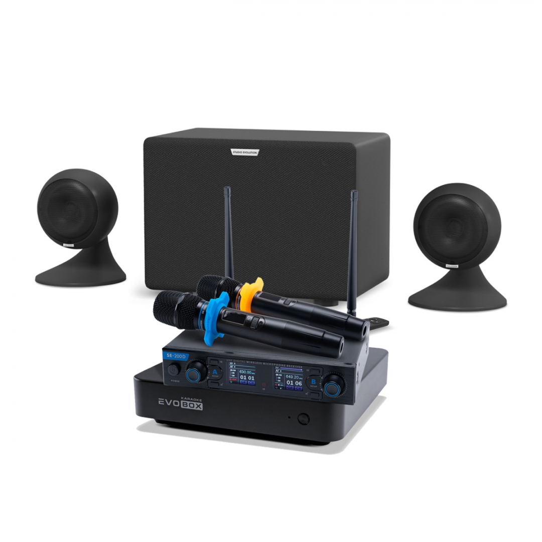 караоке-комплект EVOBOX + EvoSound Sphere 2.1 в Кизляре