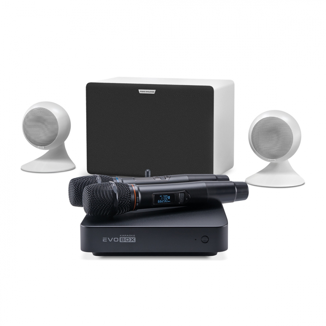 караоке-комплект EVOBOX Classic + EvoSound Sphere 2.1 в Кизляре