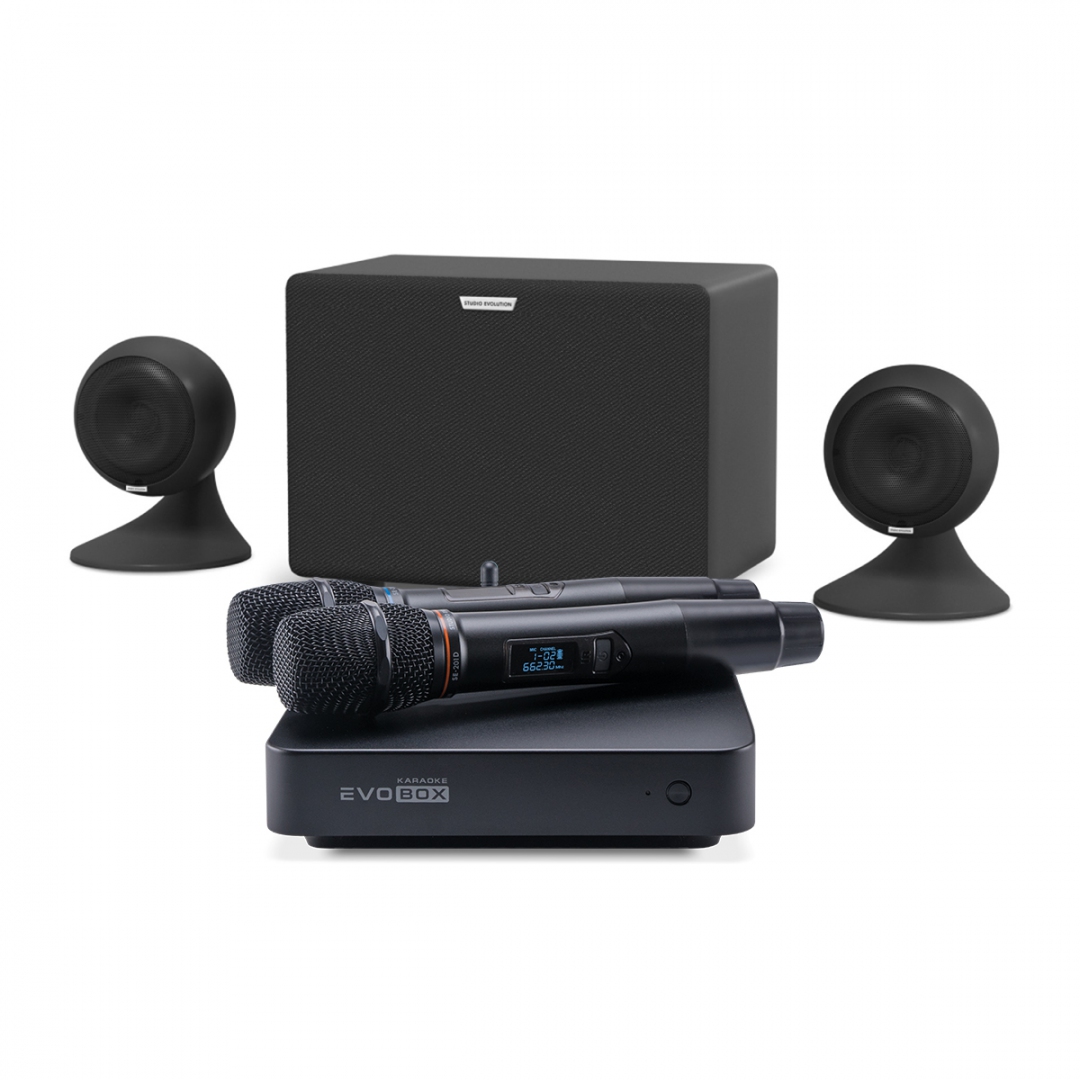 караоке-комплект EVOBOX Plus + EvoSound Sphere 2.1 в Кизляре