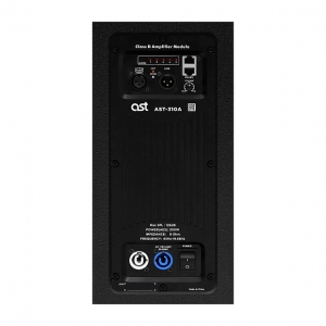 Активная акустическая система AST-310A в Кизляре