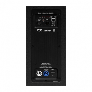 Активная акустическая система AST-312A в Кизляре