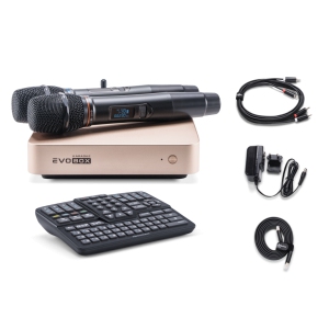 EVOBOX Classic караоке-система для дома в Кизляре