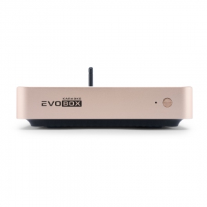 EVOBOX Plus караоке-система для дома в Кизляре