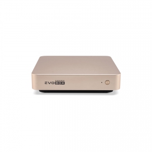 EVOBOX с микрофонами в Кизляре