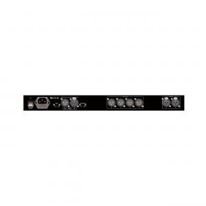 RFIntell DP-24II спикер-процессор в Кизляре